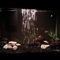 Our Aquarium